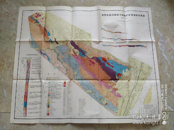 甘肃永昌白咀子铜镍矿矿区地形地质图