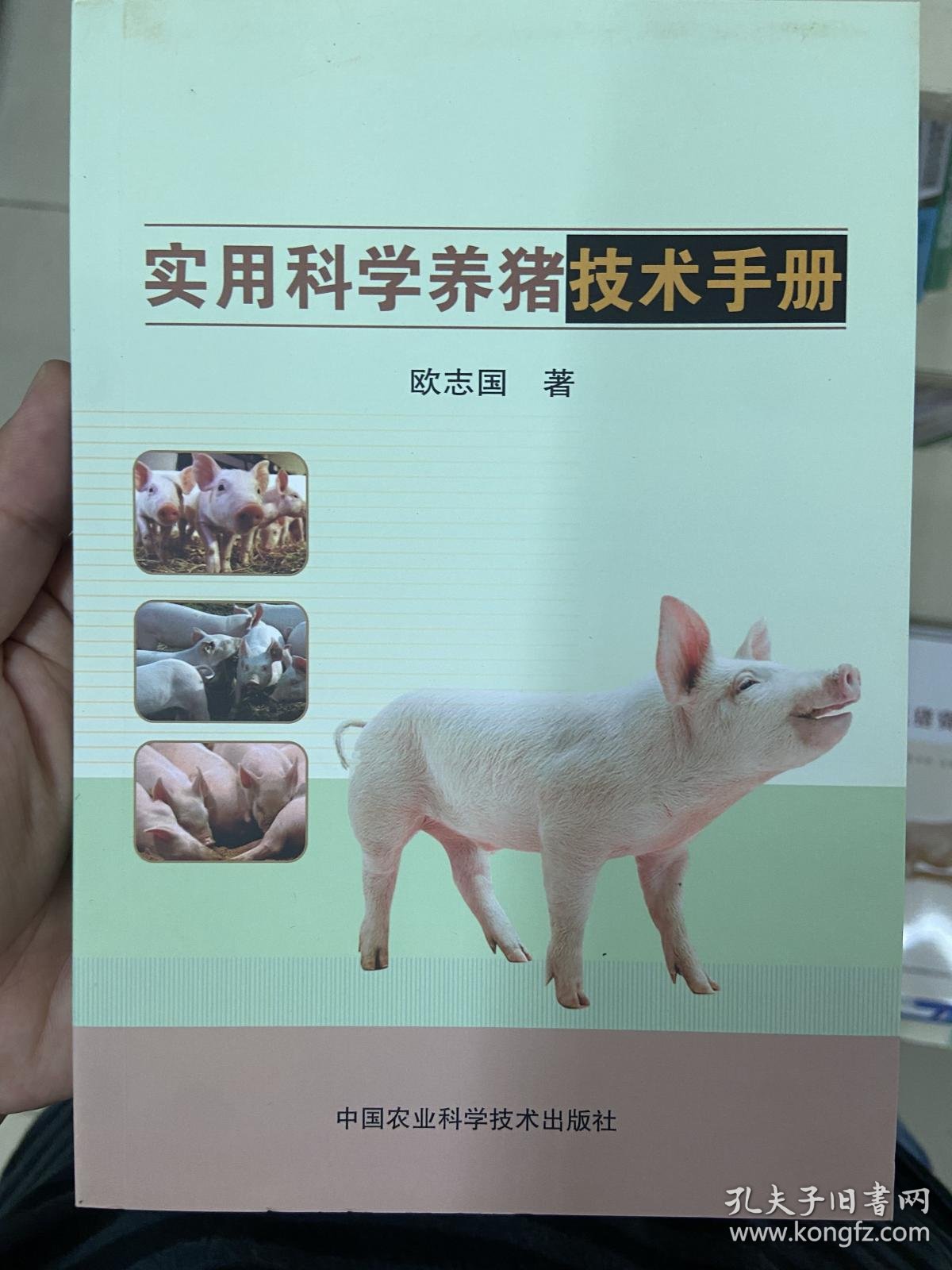 畜牧养殖ETF招商:行业趋势与投资机会