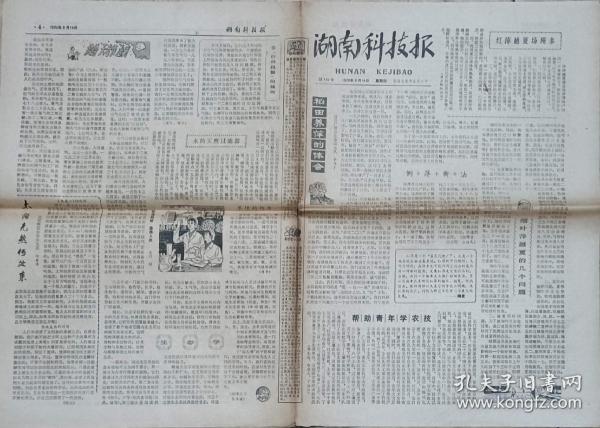 湖南科技報（1979年6月14日）【稻田養萍 倒萍新法 怎樣尋捕野生中蜂】
