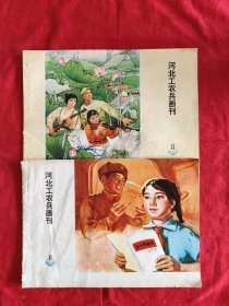 河北工农兵画刊，1973年6，8期2本