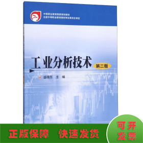 工业分析技术(2版)/盛晓东