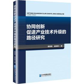 协同创新促进产业技术升级的路径研究 管理理论 黄菁菁,谢荣辉 新华正版