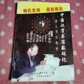 中国汉字书写数码化---成人书法教材