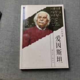 世界伟人传记丛书  爱因斯坦