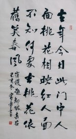 三尺整张行书作品50厘米X100厘米毛笔手写 标价即为实价 古诗 崔护题都城南庄