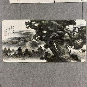 胡定南