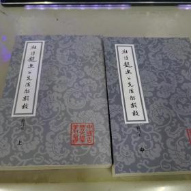 杜诗赵次公先后解辑校 （上 中 两本合售）：中国古典文学丛书