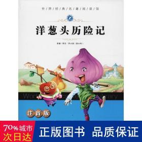 洋葱头历险记