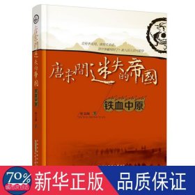 唐宋间迷失的帝国(3)-铁血中原 历史古籍 奎文阁