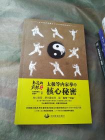 身边的武林2： 太极等内家拳的核心秘密