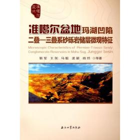 准噶尔盆地玛湖凹陷二叠—三叠系砂砾岩储层微观特征 靳军，王剑，马聪，孟颖，尚玲 著 9787518347537 石油工业出版社