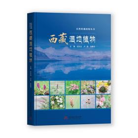 西藏湿地植物 普通图书/自然科学 刘文治,卢蓓,刘贵华 华中科技大学出版社 9787568060523