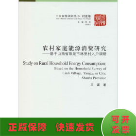 农村家庭能源消费研究——基于山西省阳泉市林里村入户调研