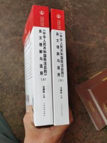 中华人民共和国民法总则 条文理解与适用（套装上下册）