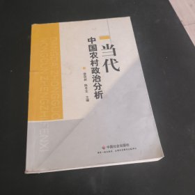 当代中国农村政治分析