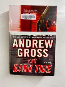 Andrew Gross：The Dark Tide 安德鲁·格罗斯：黑暗的浪潮（16开精装·英文原版、内页干净）