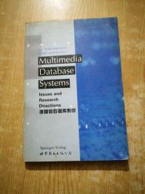 Multimedia database systems