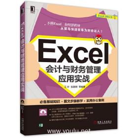 Excel会计与财务管理应用实战