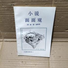 小说面面观