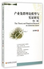 正版书产业集群理论模型与实证研究第二版