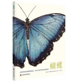 全新正版 蝴蝶（科学性与艺术性完美结合的手绘蝴蝶科普书） 本·罗瑟里 9787552035506 上海社会科学院出版社