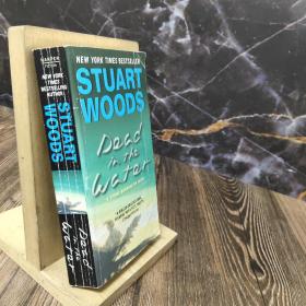 Dead in the Water: A Novel (Stone Barrington Novels)