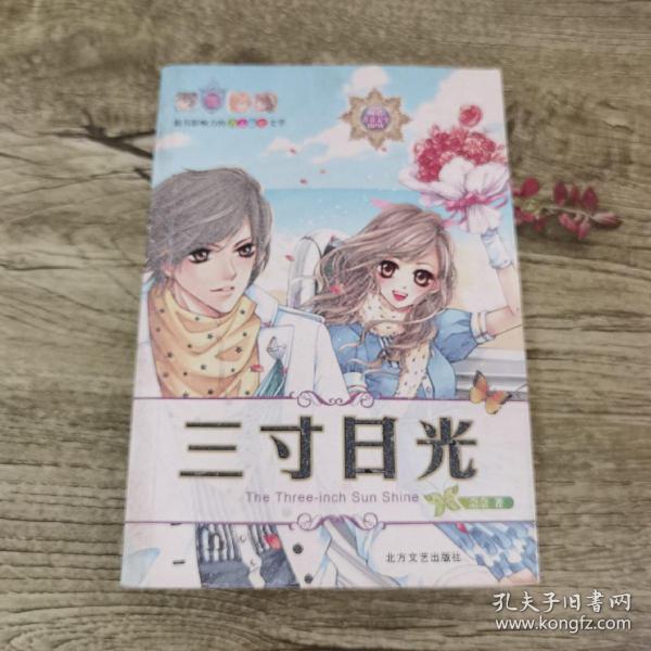 三寸日光王小波著 北方文艺出版社 2006 03 平装途昂的书店湖北省咸宁市