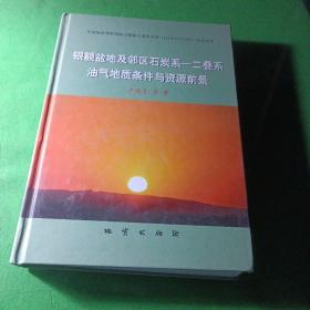 银额盆地及邻区石炭系 : 二叠系油气地质条件与资
源前景