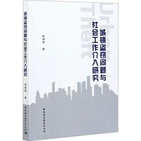 城镇盗问题与社会工作介入研究 法学理论 查明辉 新华正版