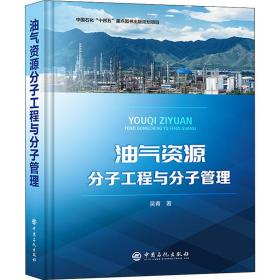 全新正版 油气资源分子工程与分子管理 吴青 9787511464460 中国石化出版社