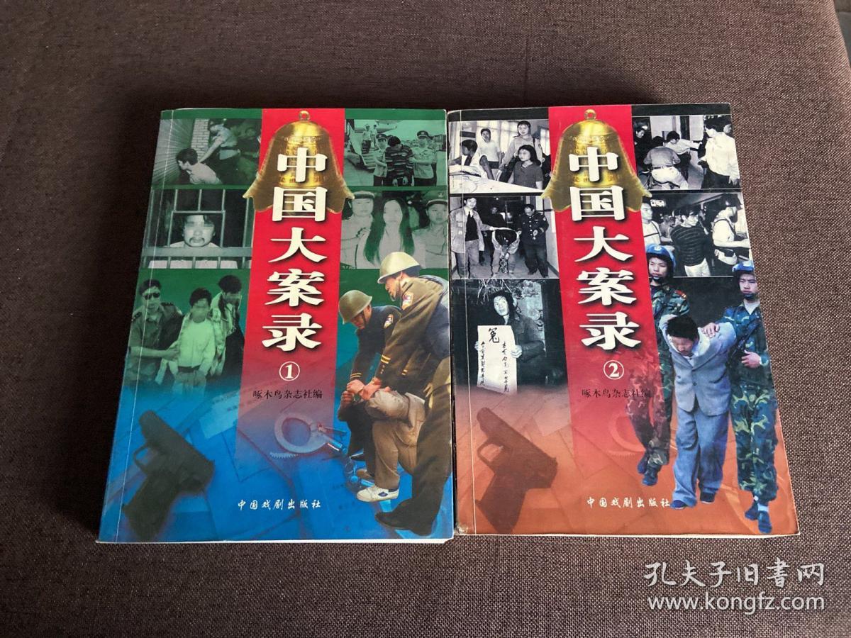 中国大案录12全二册