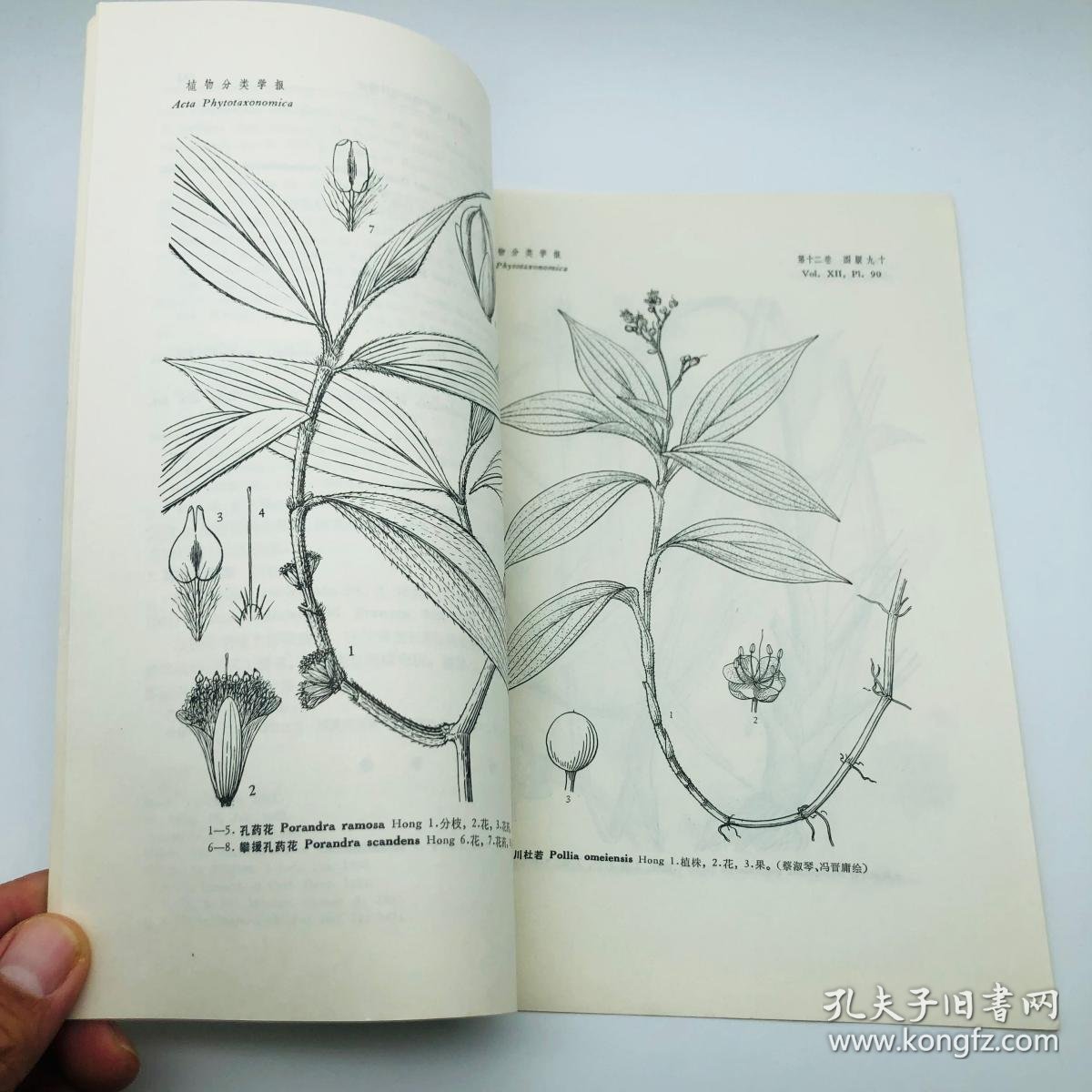 【图】中国科学院院士、植物学家洪德元 签名赠书《国产鸭跖草科植物》论文抽印本一册（中科院院士园艺学家 俞德浚旧藏）,拍品信息,网上拍卖,拍卖 ...