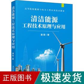清洁能源工程技术与应用 能源科学 潘霄 新华正版