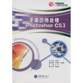 新华正版 平面图像处理 Photoshop CS3 王干  9787562455820 重庆大学出版社