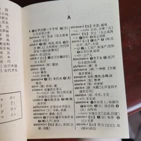 世界语新词典
