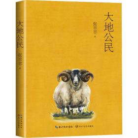 新华正版 大地公民 张羊羊 9787570221714 长江文艺出版社 2021-08-01
