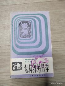 怎樣養好月季