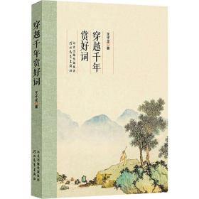 穿越千年赏好词 中国古典小说、诗词 王子龙 新华正版
