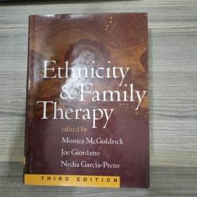 Ethnicity & Family Therapy （Third Edition)