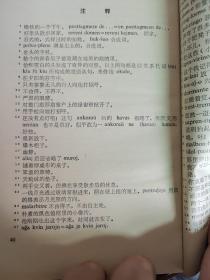 茵梦湖(世文版)