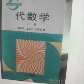 北京大学数学丛书:代数学(上下册)