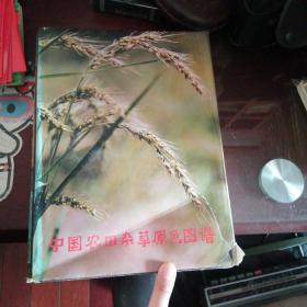 中国农田杂草原色图谱 铜板全彩
