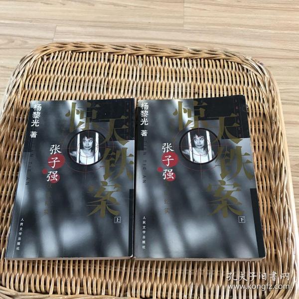 惊天铁案(上下)