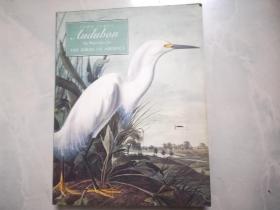 John James Audubon : The Watercolors for the Birds of America