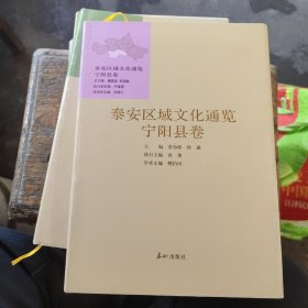 泰安区域文化通览 宁阳县卷（精装）