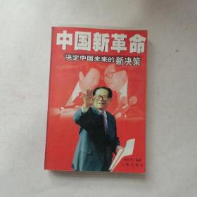 中国新革命:决定中国未来的新决策