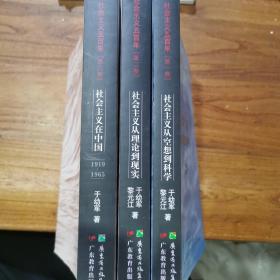 社会主义在中国（1919-1965）：社会主义五百年丛书（全三卷）