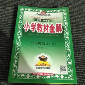 金星教育 小学教材全解：语文（六年级下 人教版）