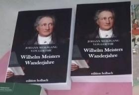 国内现货 (德文德语原版) 歌德 维廉·麦斯特的漫游时代 Wilhelm Meisters Wanderjahre oder Die Entsagenden， Johann Wolfgang Goethe