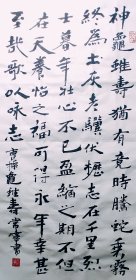 手写书法作品 曹操龟虽寿 66厘米X33厘米 四尺四开竖幅
